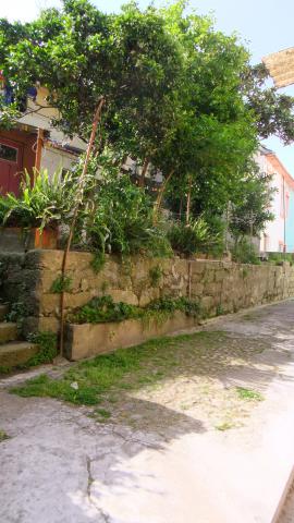 Photos for house 509057