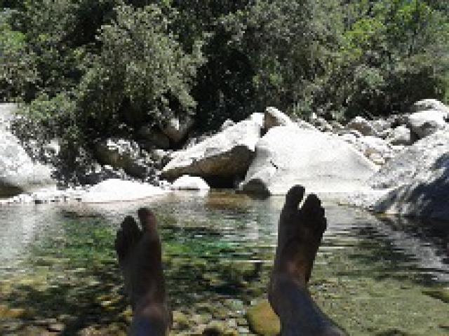 Photos for house 509060