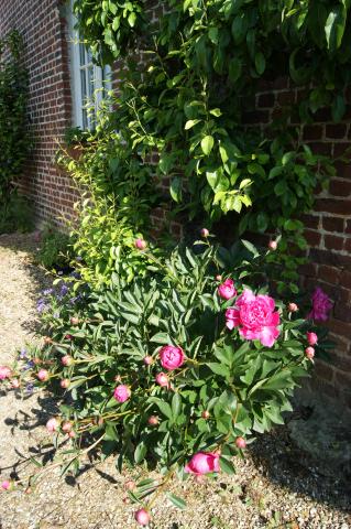 Photos for house 509068