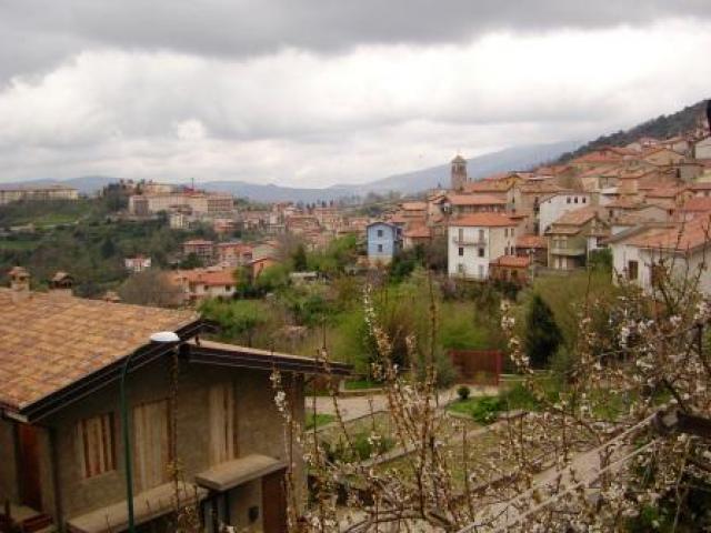 Photos for house 509077