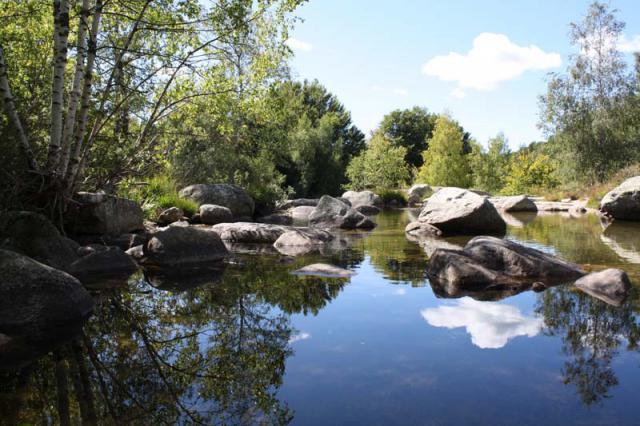 Photos for house 509166