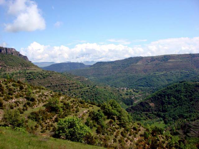 Photos for house 509166