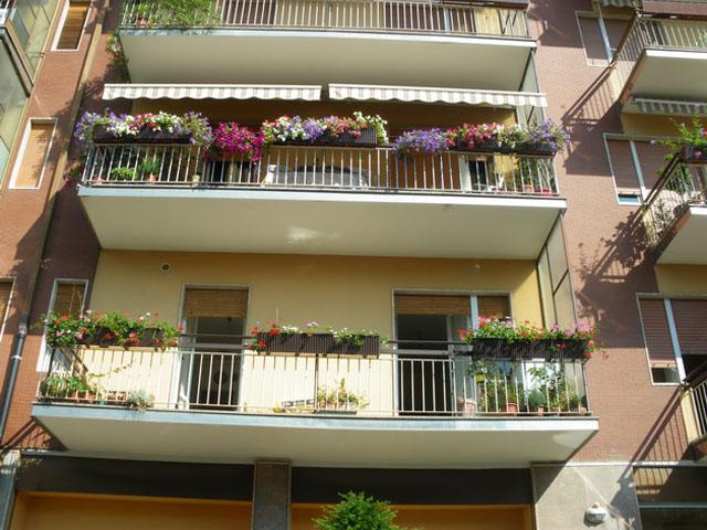 Photos for house 509232