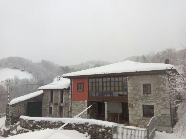 Photos for house 509241