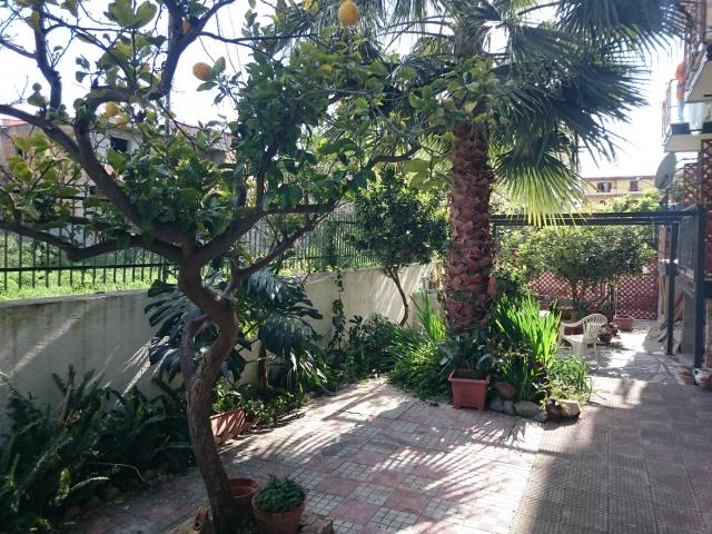 Photos for house 509244