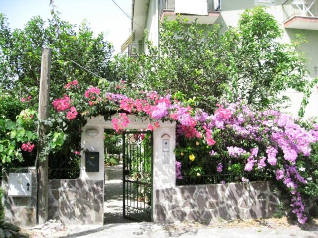 Photos for house 509244