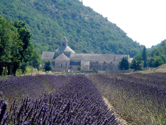 Photos for house 509411