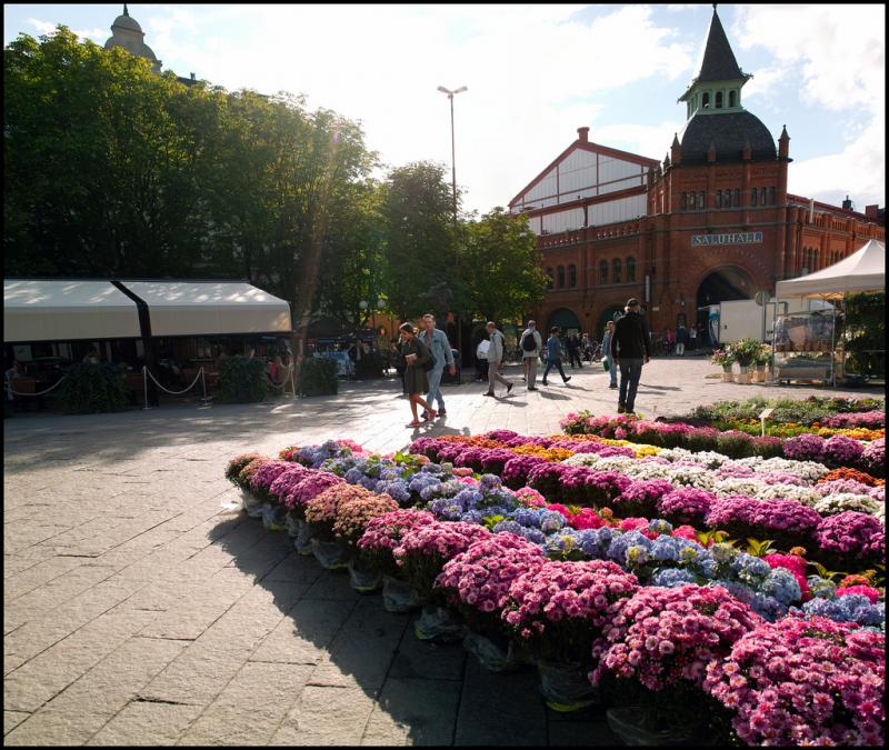 Photos for house 509514