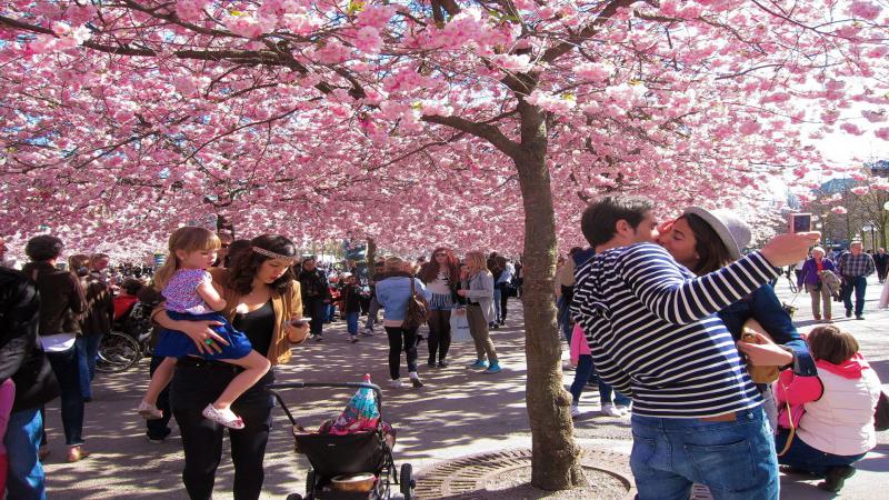 Photos for house 509514