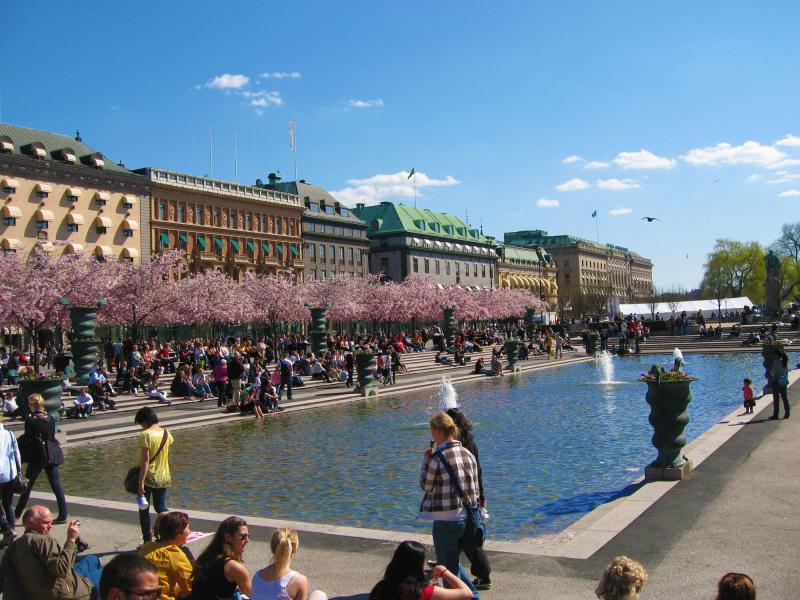 Photos for house 509514