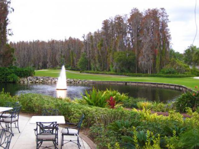 Photos for house 509524