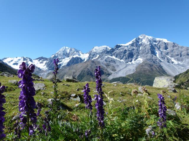 Photos for house 509535