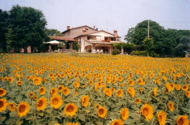 Photos for house 509633