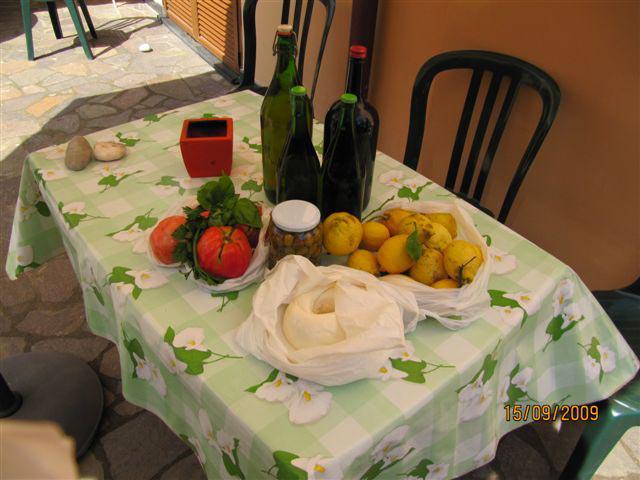 Photos for house 509661