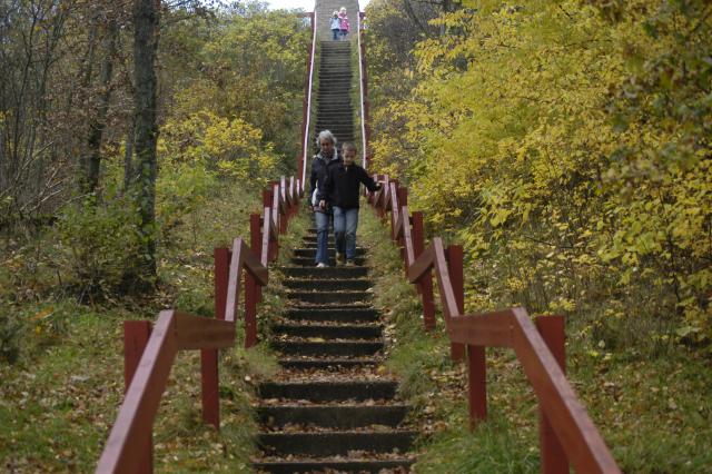 Photos for house 509722