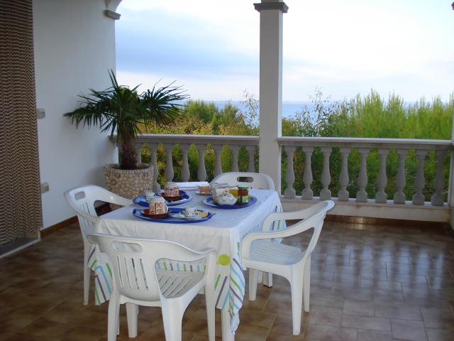 Photos for house 509840