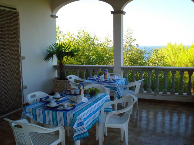 Photos for house 509840