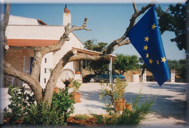 Photos for house 509892