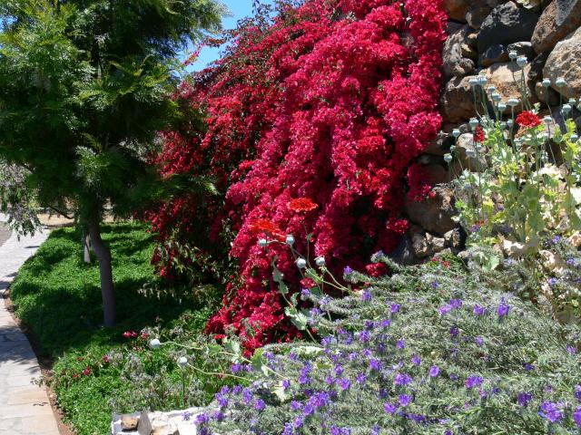 Photos for house 509929