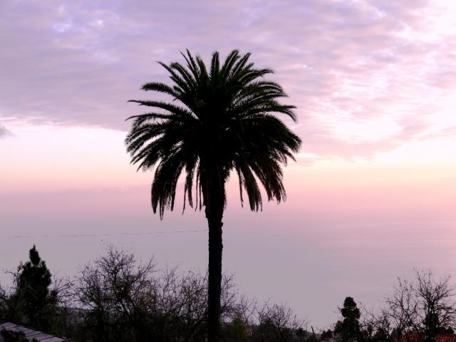 Photos for house 509929