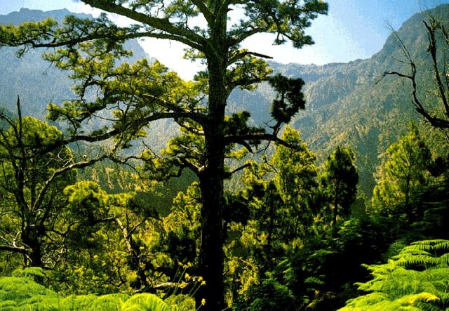 Photos for house 509929