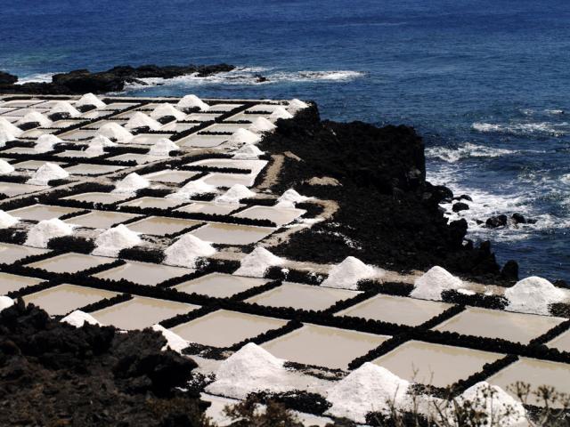 Photos for house 509929