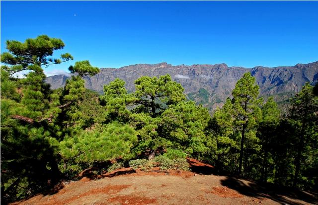 Photos for house 509929