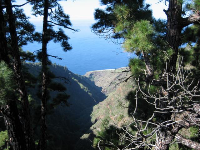 Photos for house 509929