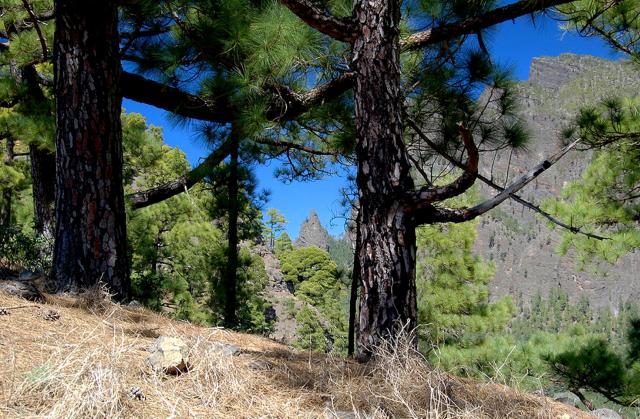 Photos for house 509929