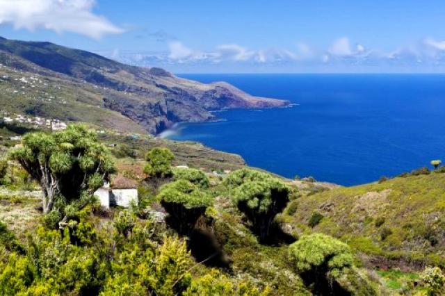 Photos for house 509929