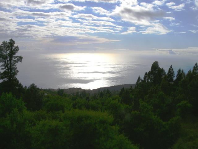 Photos for house 509929