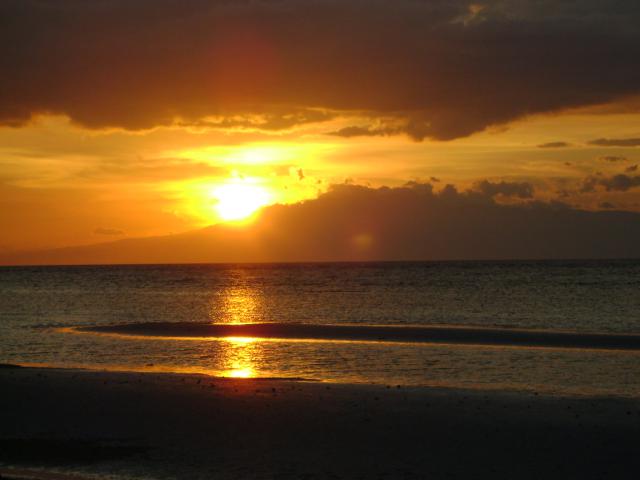 Photos for house 509976