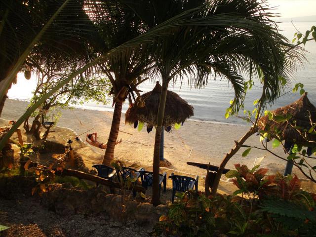 Photos for house 509976