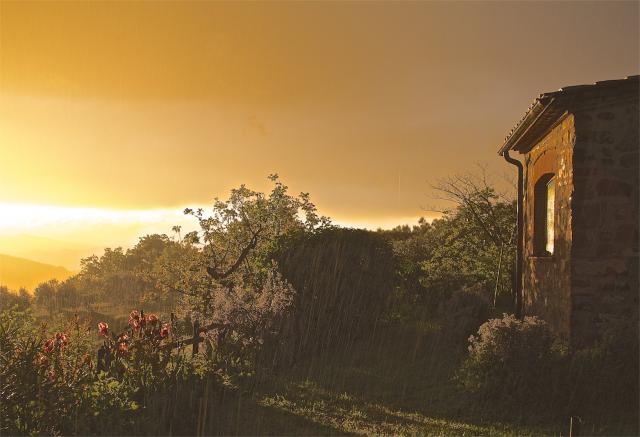 Photos for house 510125