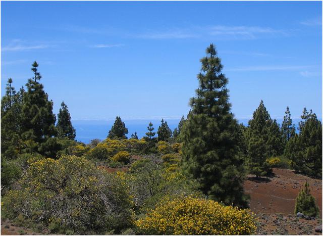 Photos for house 510135