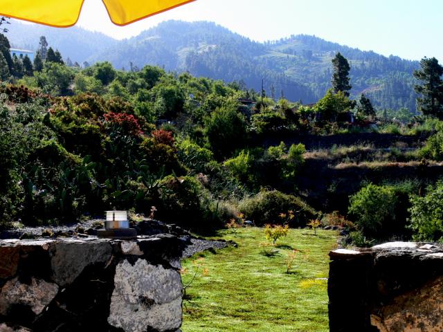 Photos for house 510135