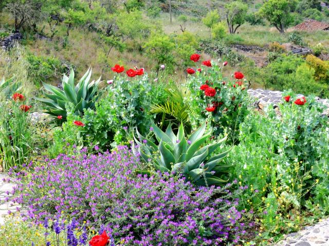 Photos for house 510135