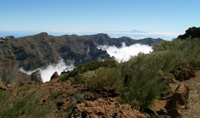 Photos for house 510135