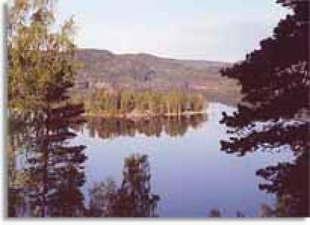 Photos for house 510267