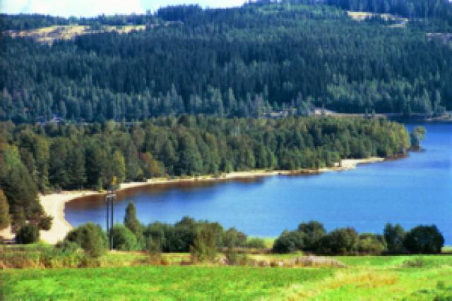 Photos for house 510267