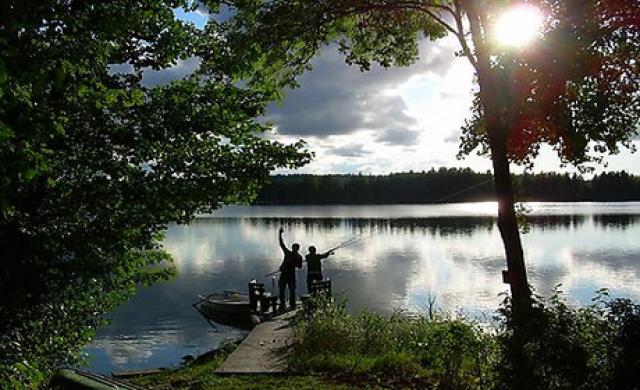 Photos for house 510267