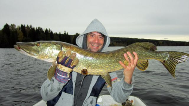 Photos for house 510267