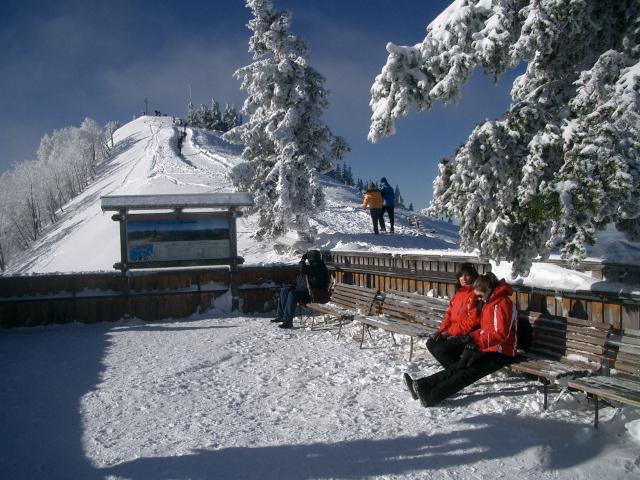 Photos for house 510379