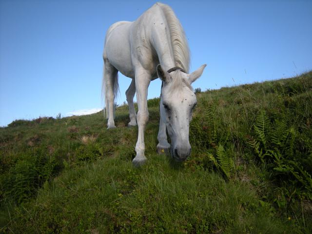 Photos for house 510379