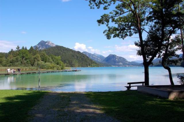 Photos for house 510379