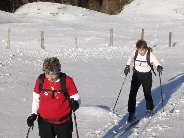 Photos for house 510379