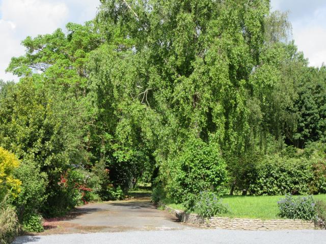 Photos for house 510424