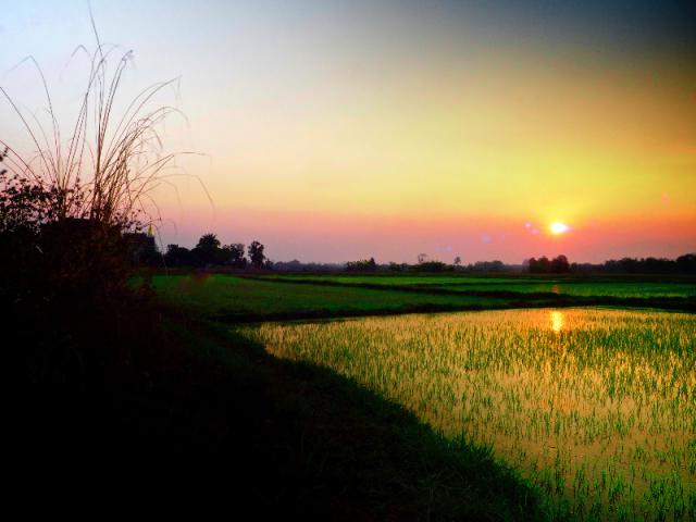 Photos for house 510468