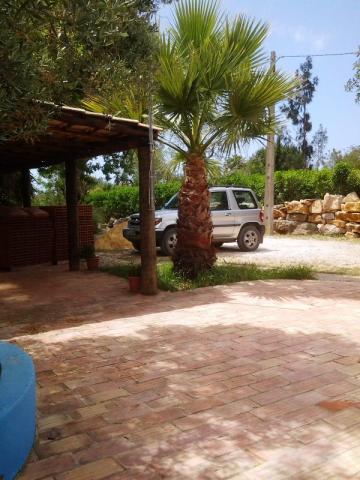 Photos for house 510479