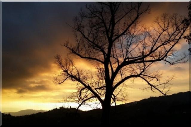 Photos for house 510507